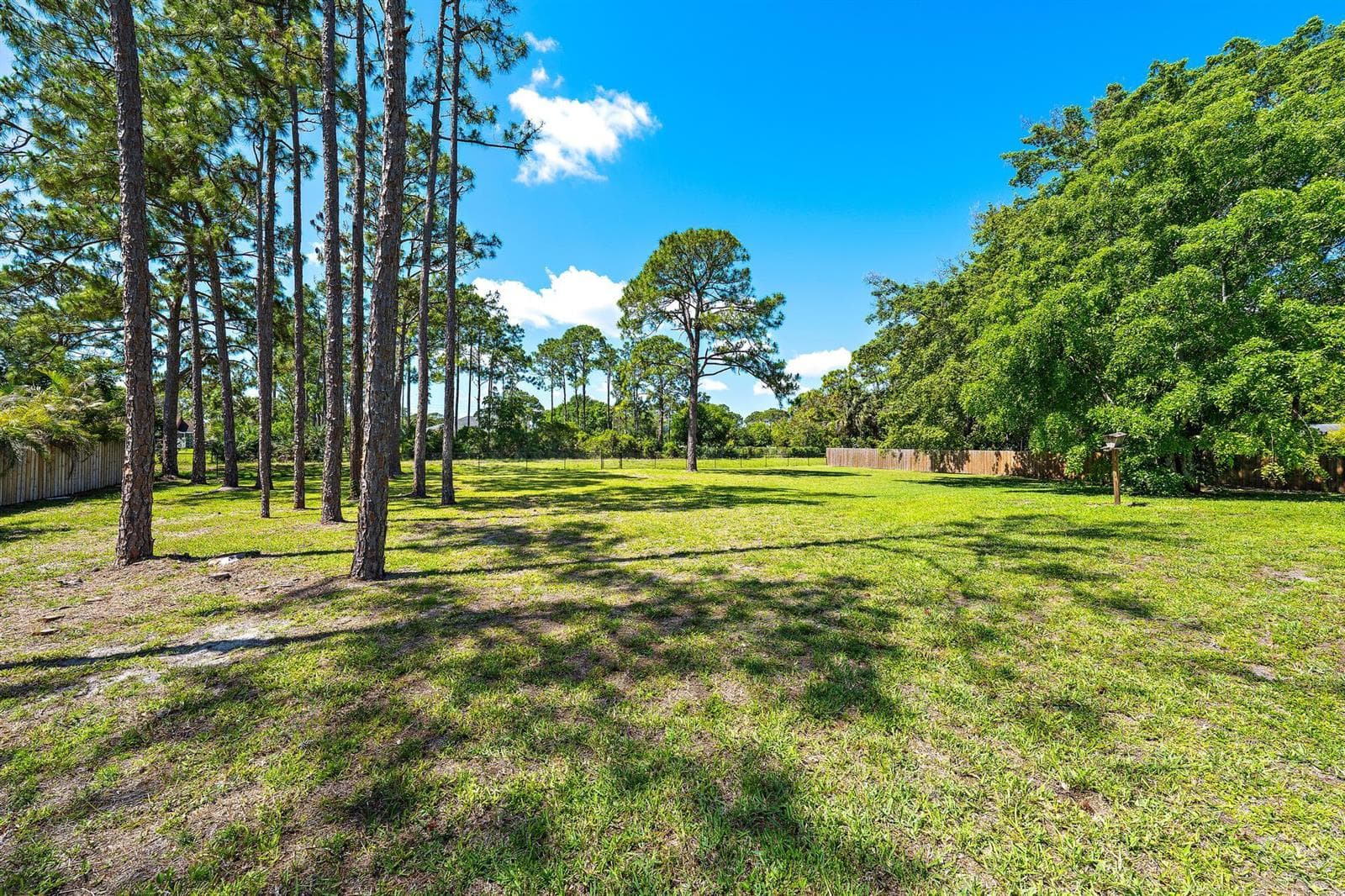 11922 Orange Boulevard photo 25