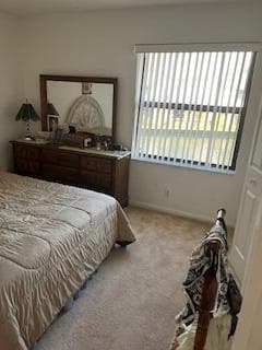 1010 Landings Boulevard photo 16