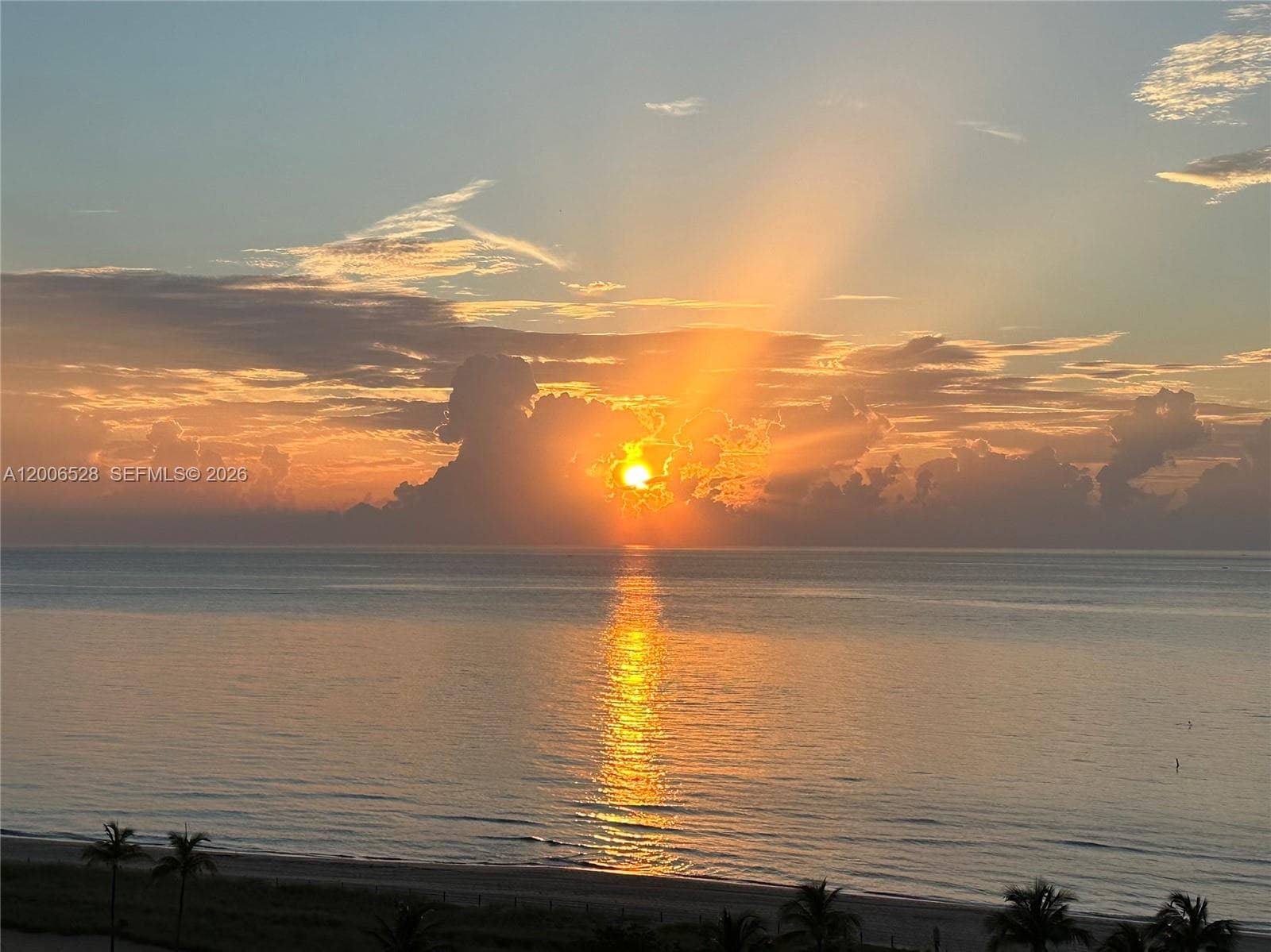 4900 Ocean Blvd 413 photo 1
