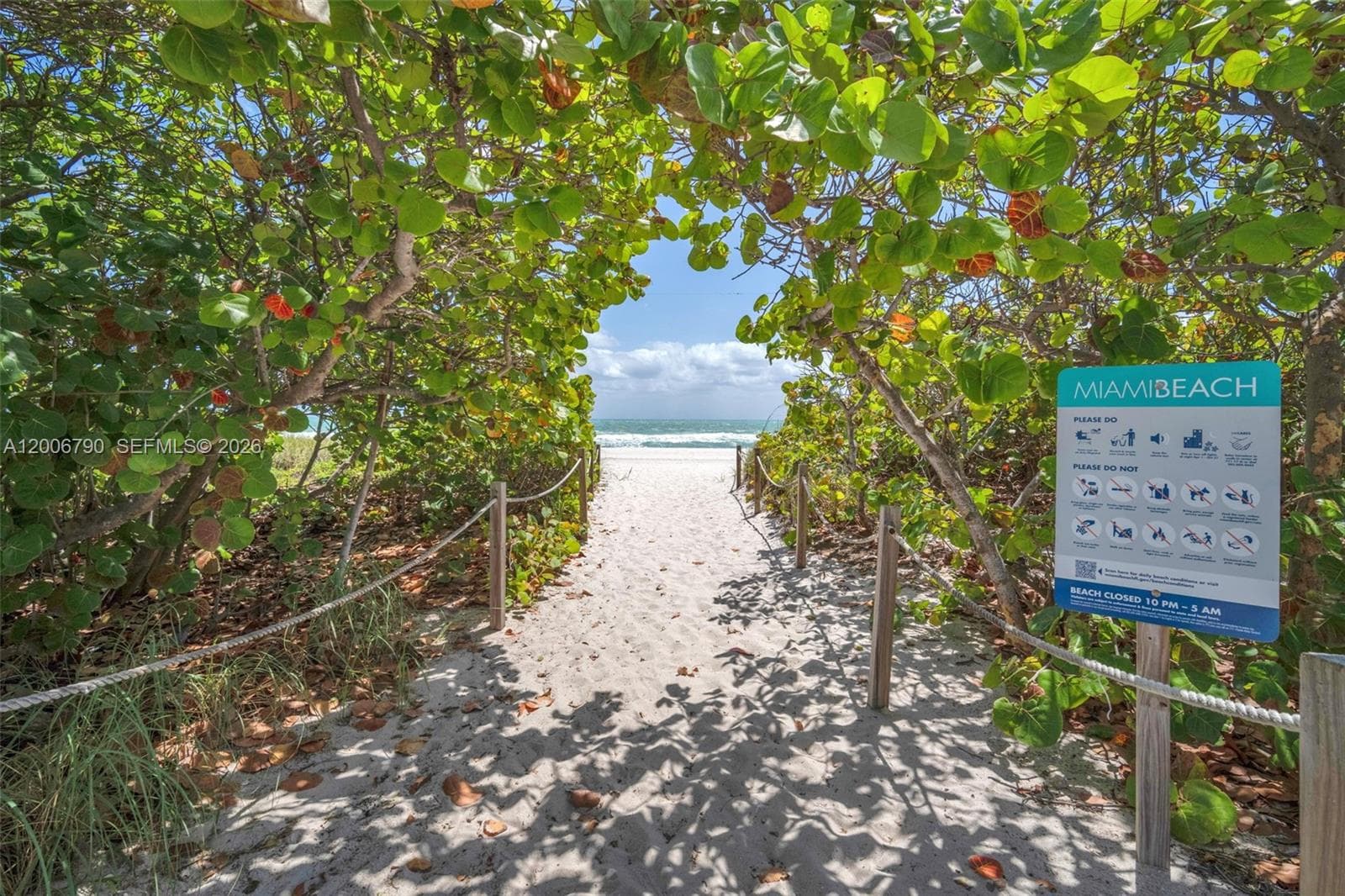 5313 Collins Ave 204 photo 2