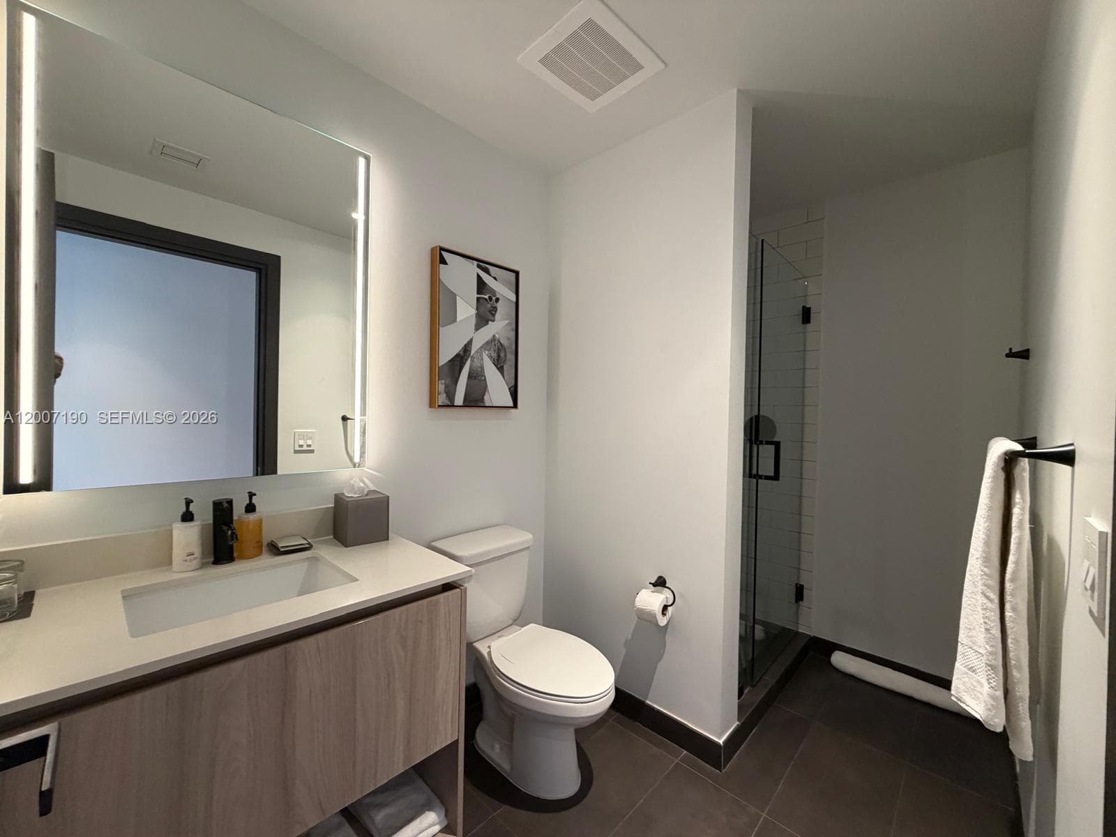 398 5th St 2015 photo 9