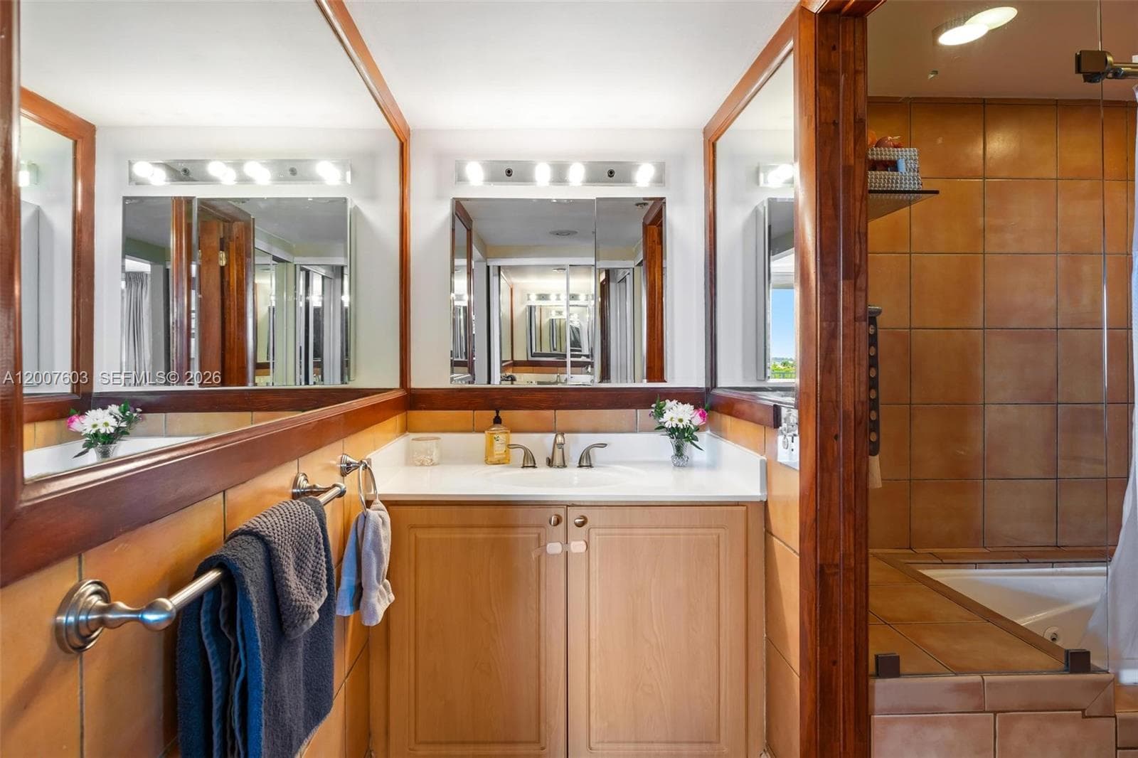 2829 Indian Creek Dr 1001 photo 14