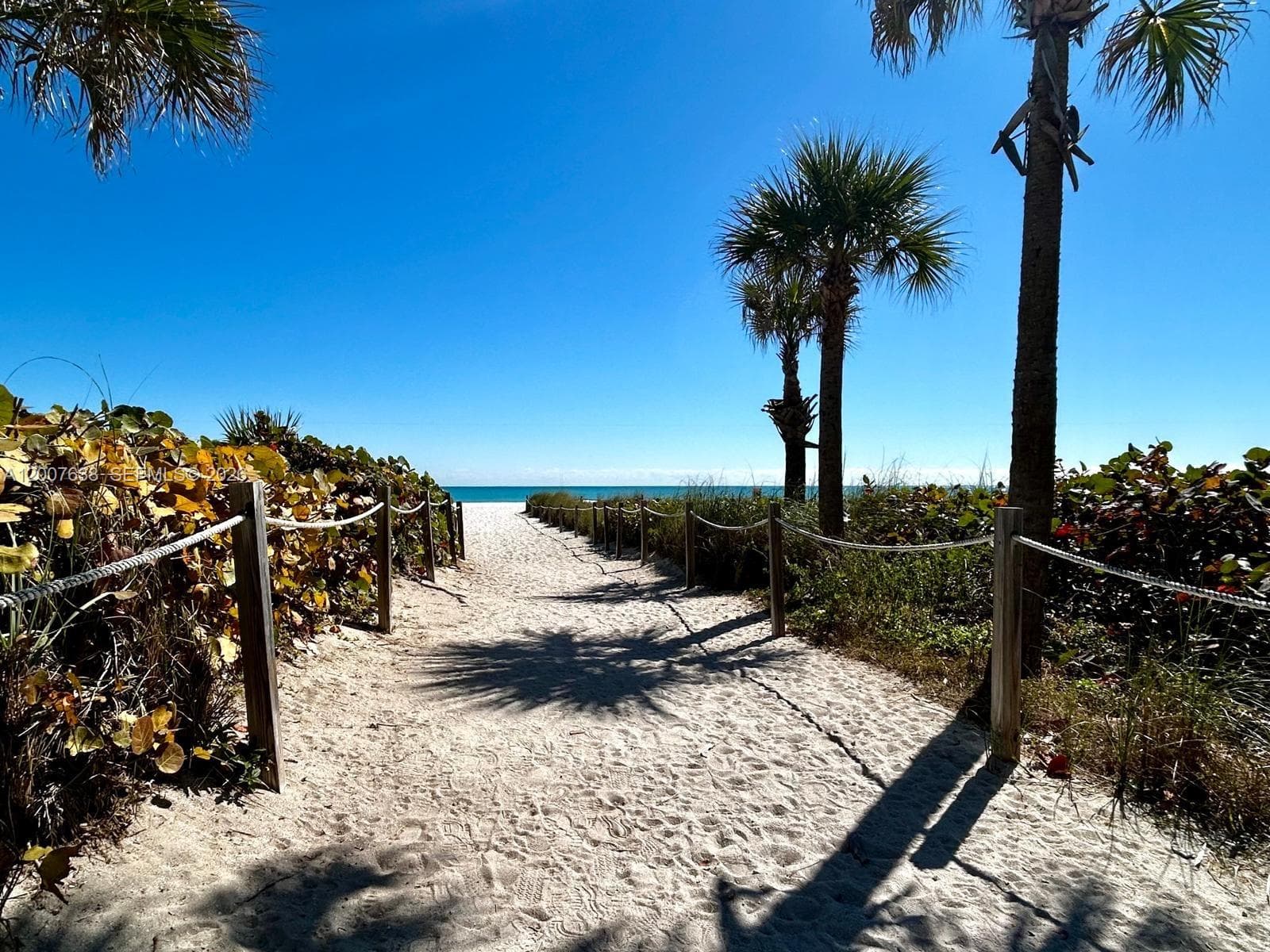 5838 Collins Ave 8E photo 17