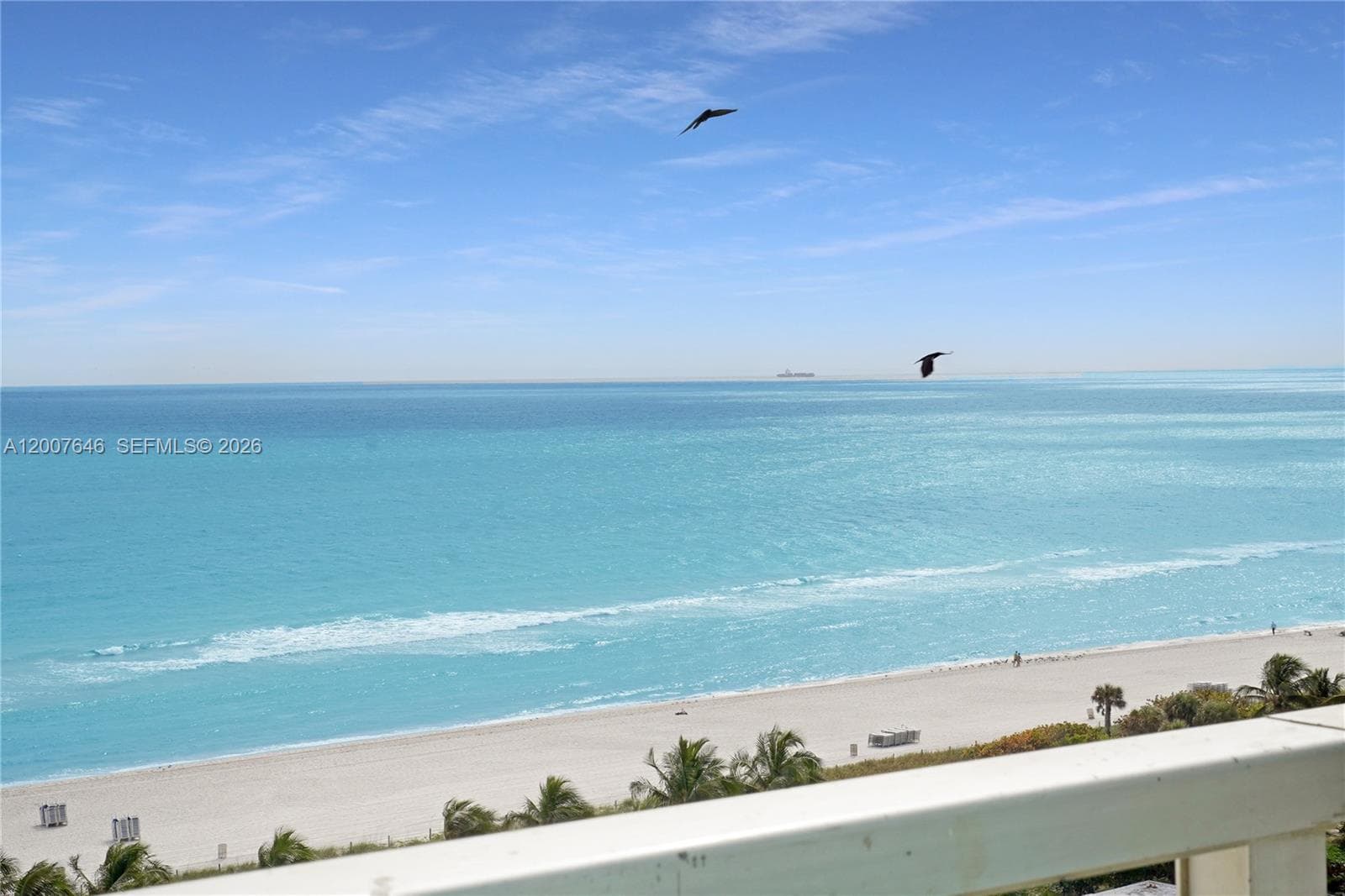 5101 Collins Ave 14F photo 4