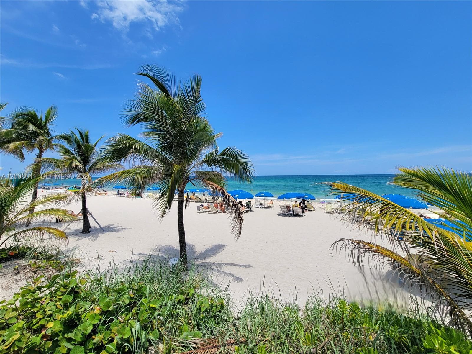 2030 Ocean Dr 2026 photo 2