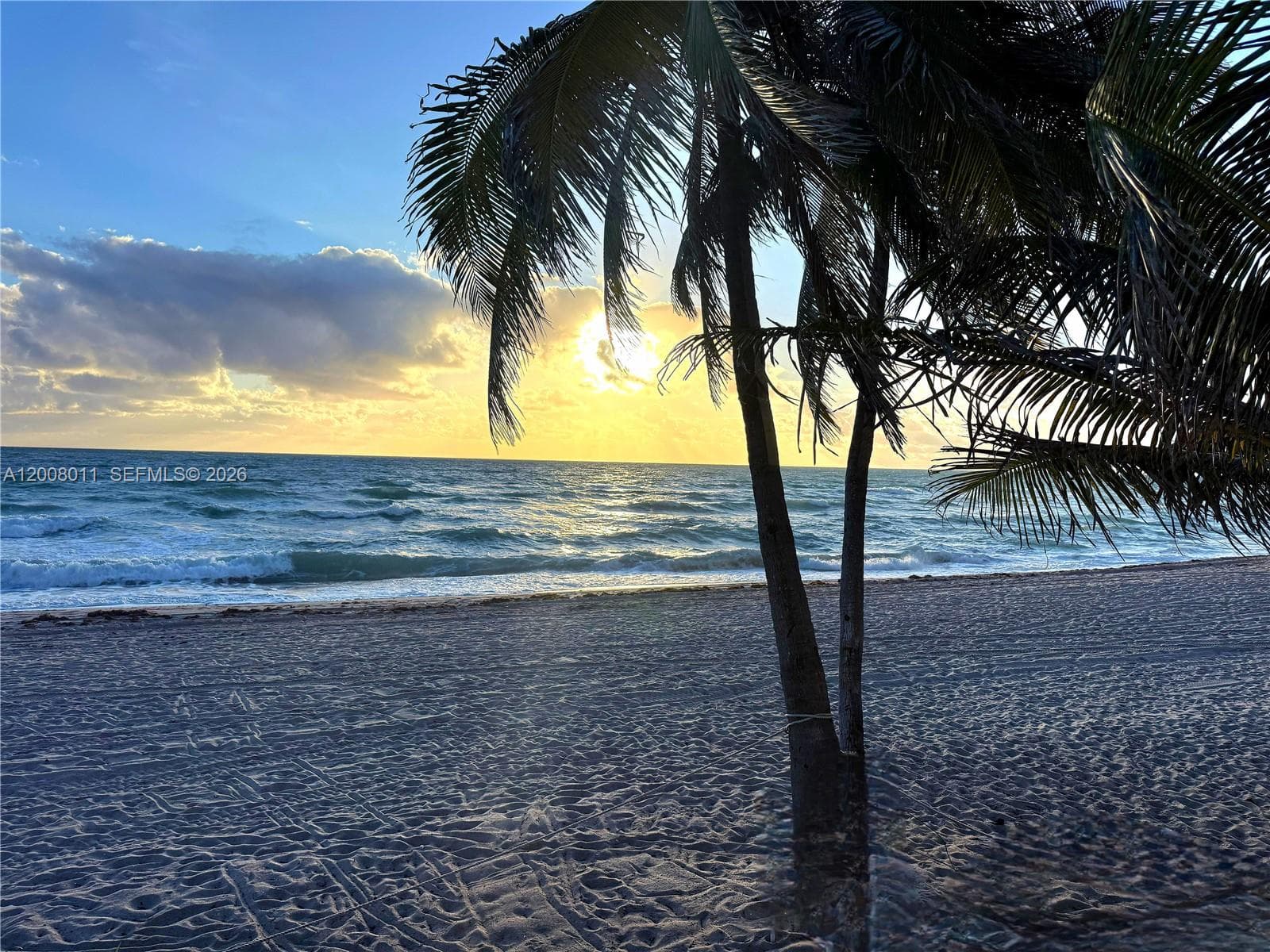 2030 Ocean Dr 2026 photo 1