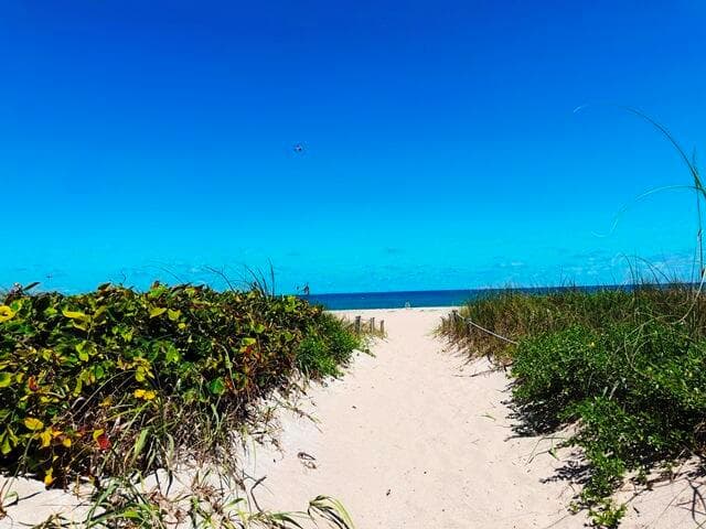 2560 S Ocean Boulevard 603 photo 23