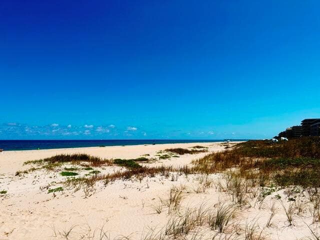 2560 S Ocean Boulevard 603 photo 24