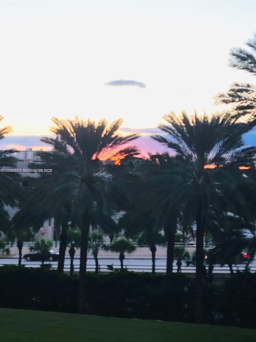 10275 Collins Ave 327 photo 15