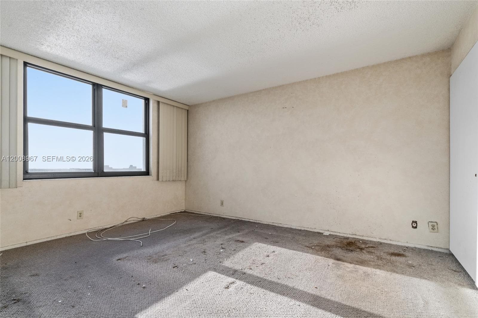 2401 Ocean Dr 1907 photo 23