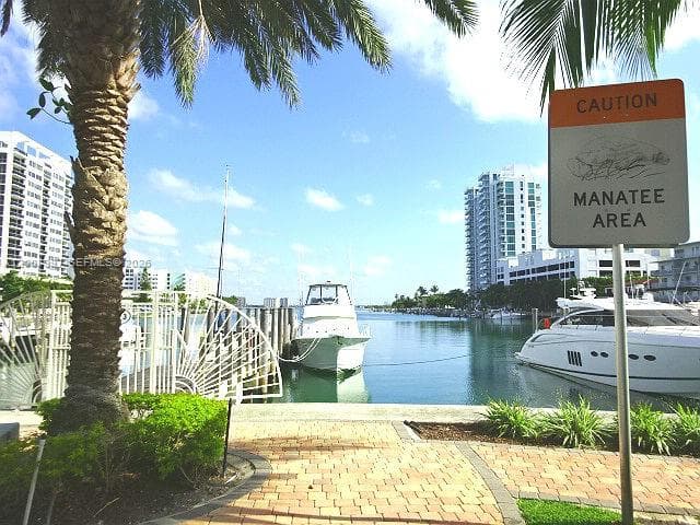 7900 Harbor Island Dr 817 photo 16