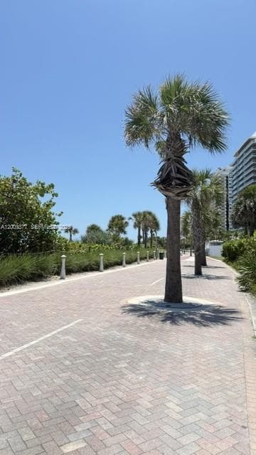 5875 Collins Ave 708 photo 3