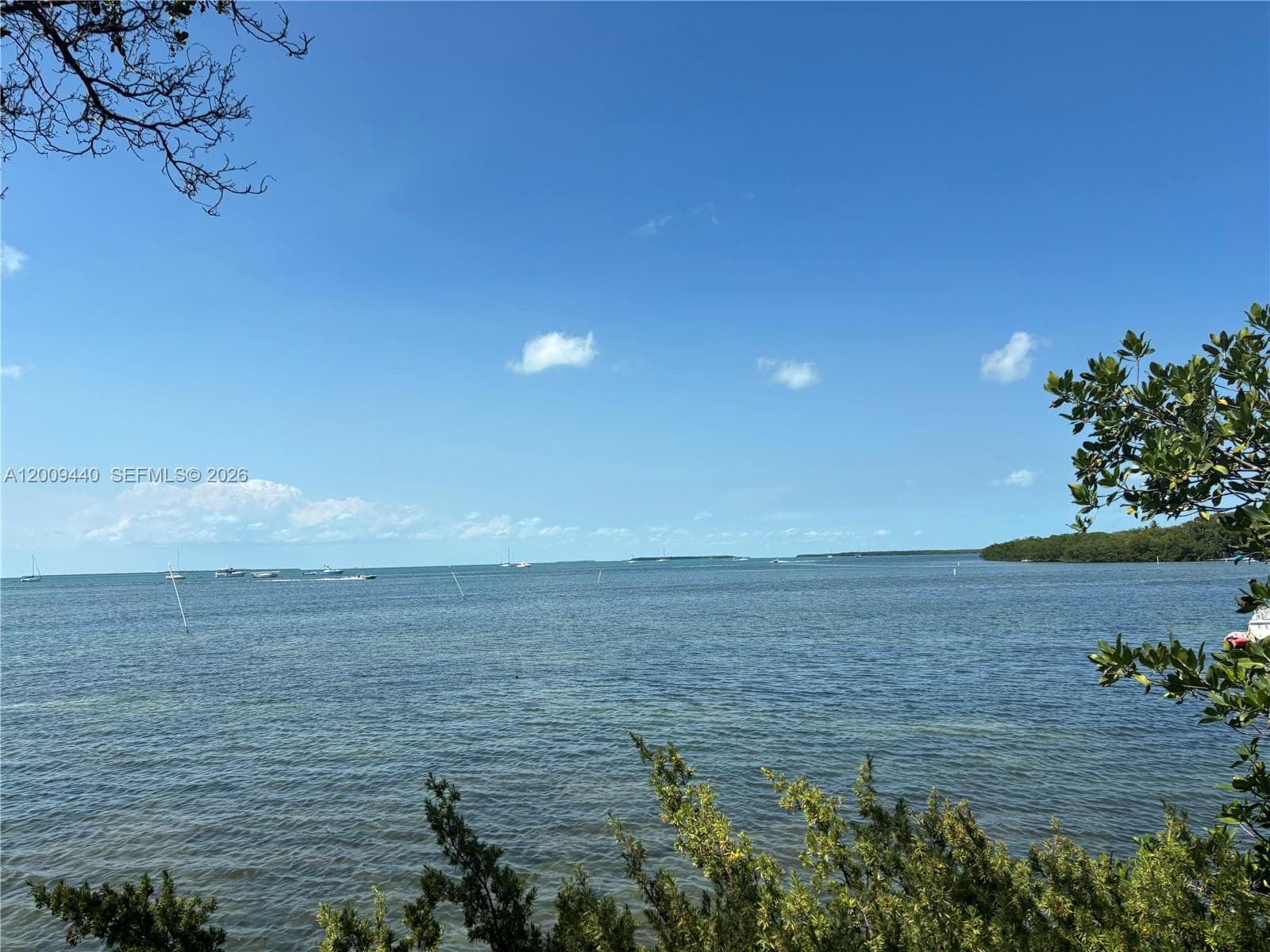 1101 Mastic Street photo 3