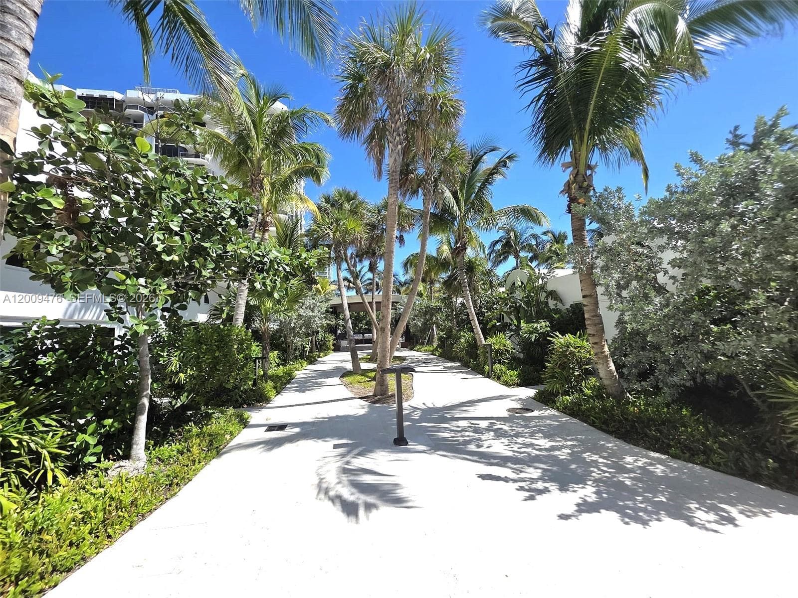 6365 Collins Ave 4311 photo 17