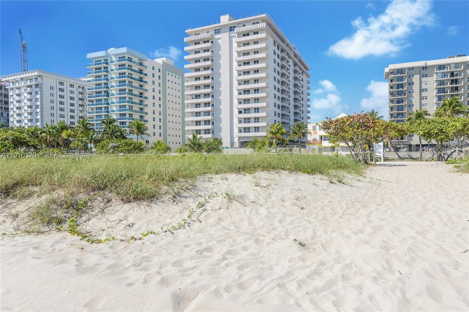 9225 Collins Ave 501 photo 12
