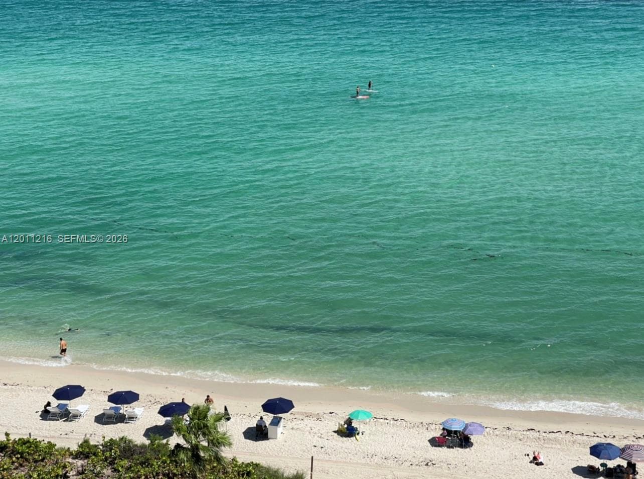 6801 Collins Ave 1203 photo 8