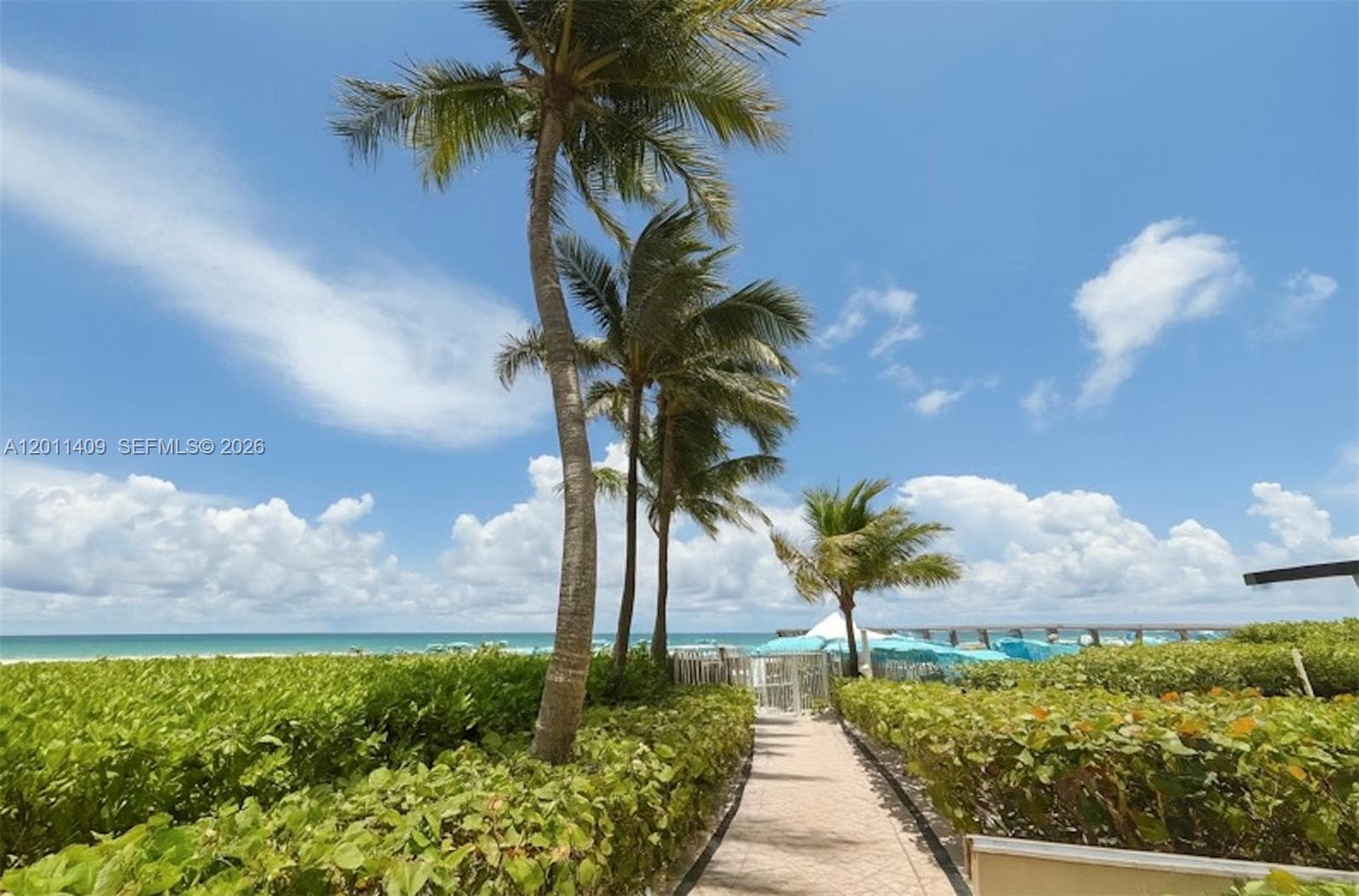 16711 Collins Ave 2301 photo 22