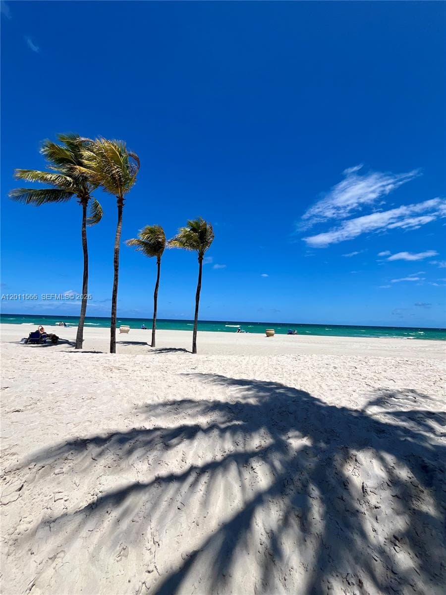 1801 Ocean Dr 203 photo 8