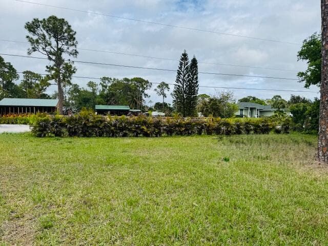 12836 78th Place N photo 6
