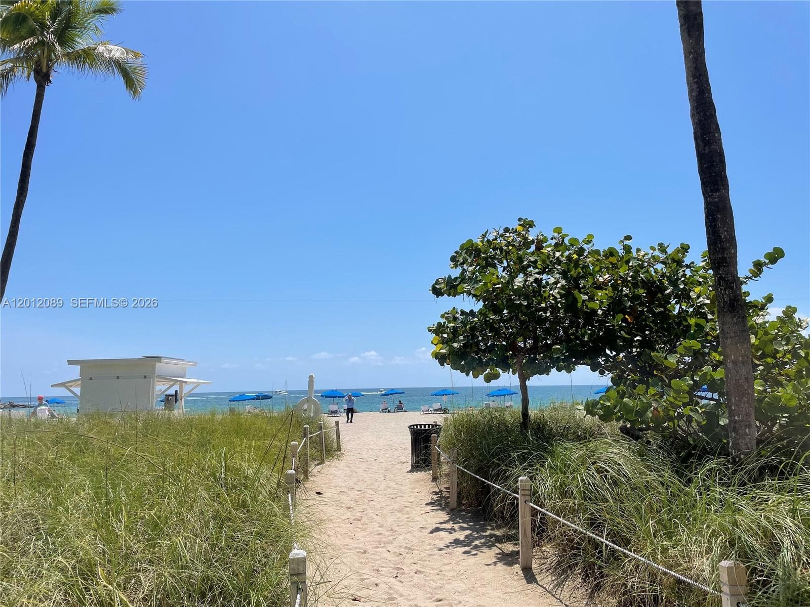10275 Collins Ave 602 photo 16