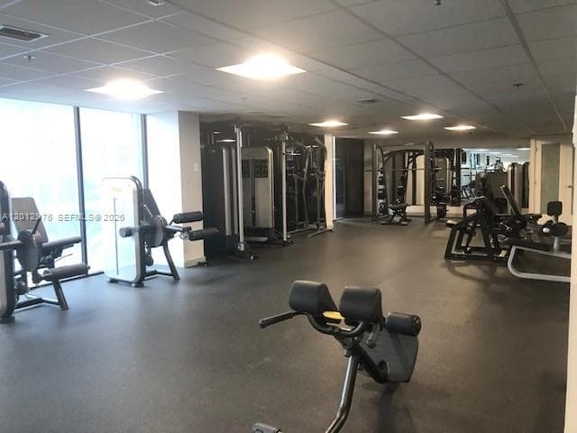 540 Brickell Key Dr 1116 photo 9