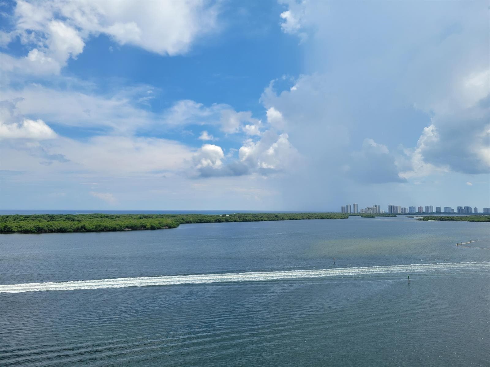 100 Lakeshore Drive 957 photo 4