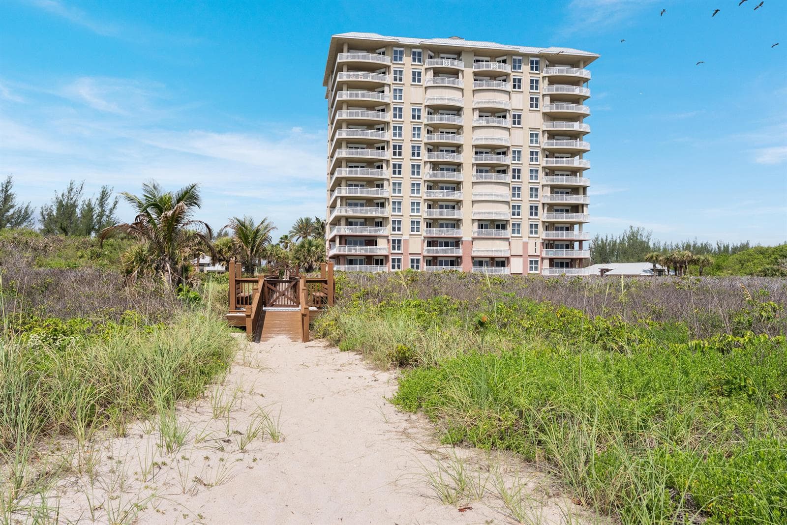 3702 N Hwy A1a 801 photo 2