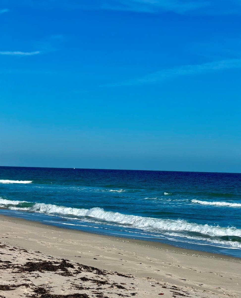 4235 N Highway A1a N 14 photo 3