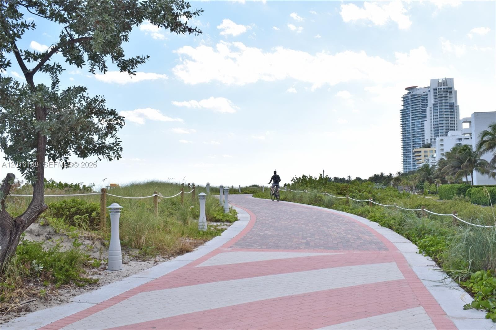 401 Ocean Dr 924 photo 24