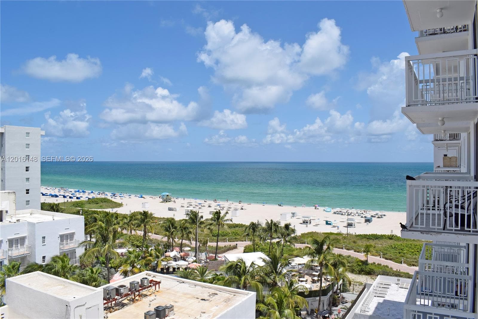 401 Ocean Dr 924 photo 18