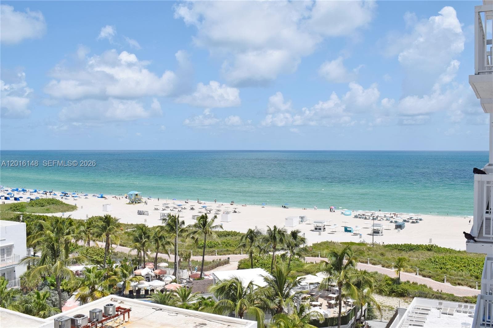 401 Ocean Dr 924 photo 19