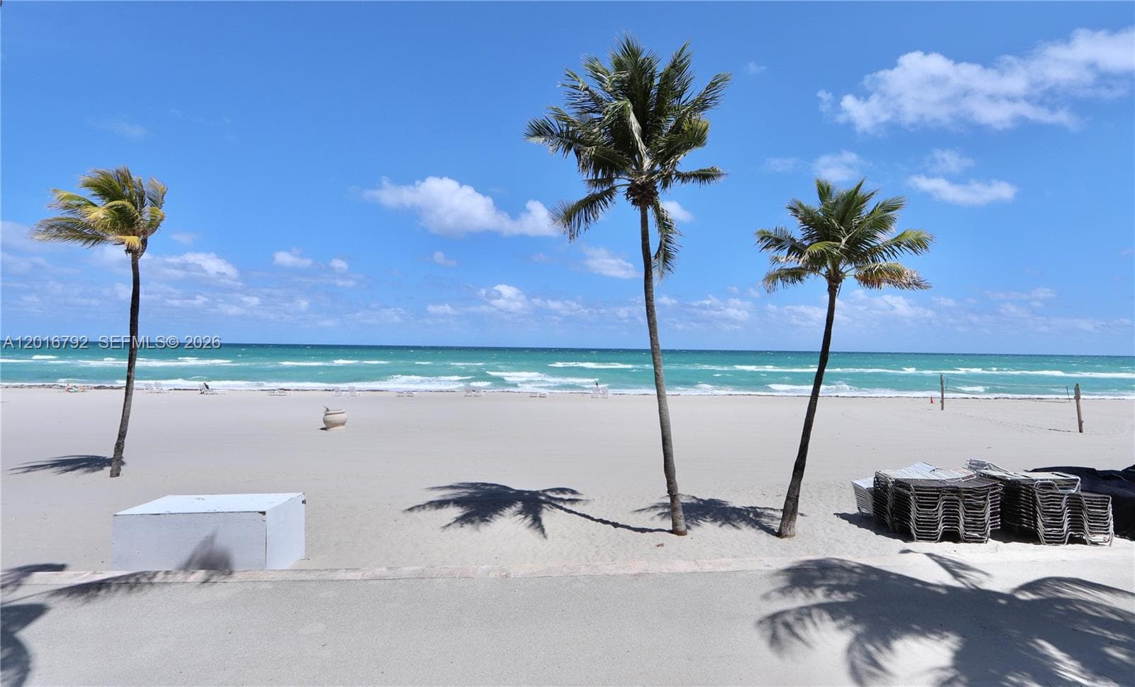 2401 S Ocean Dr 806 photo 19