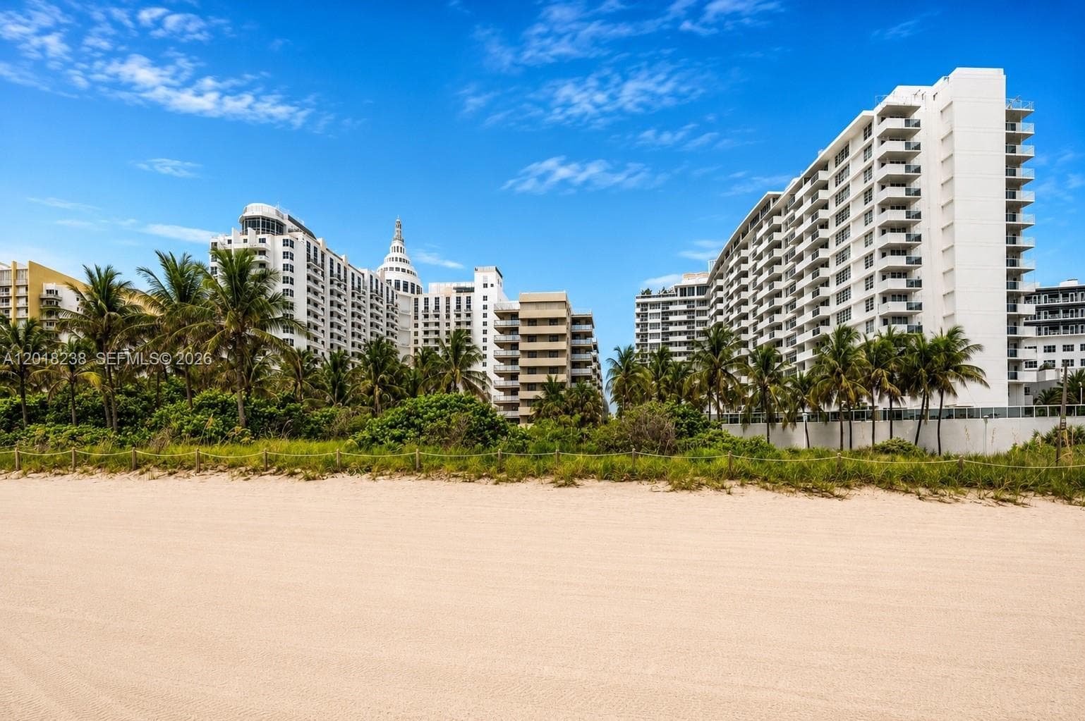 1621 Collins Ave 310 photo 4
