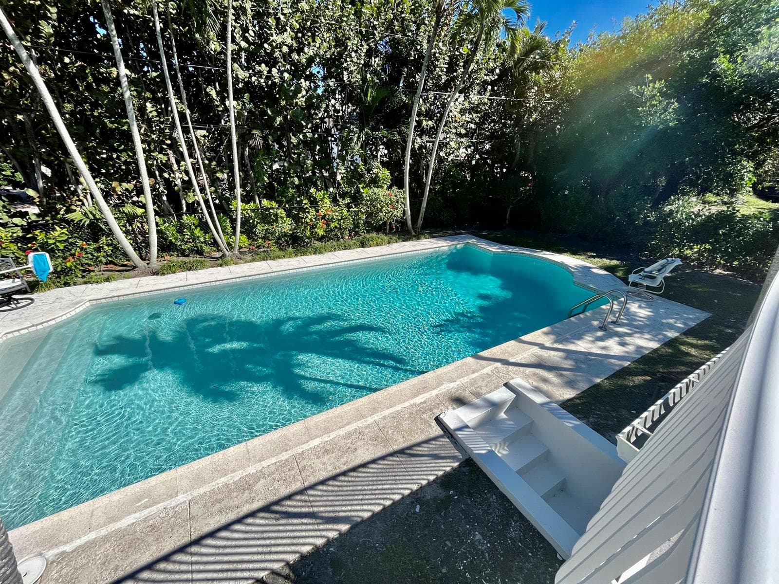 115 Dolphin Road photo 6