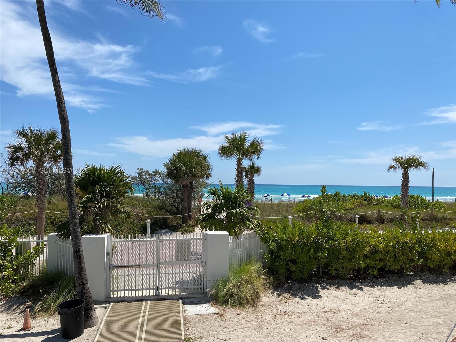 5151 Collins Ave 1626 photo 11