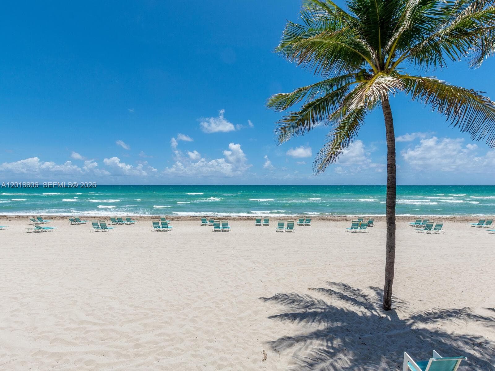 2501 Ocean Dr 1525 photo 2