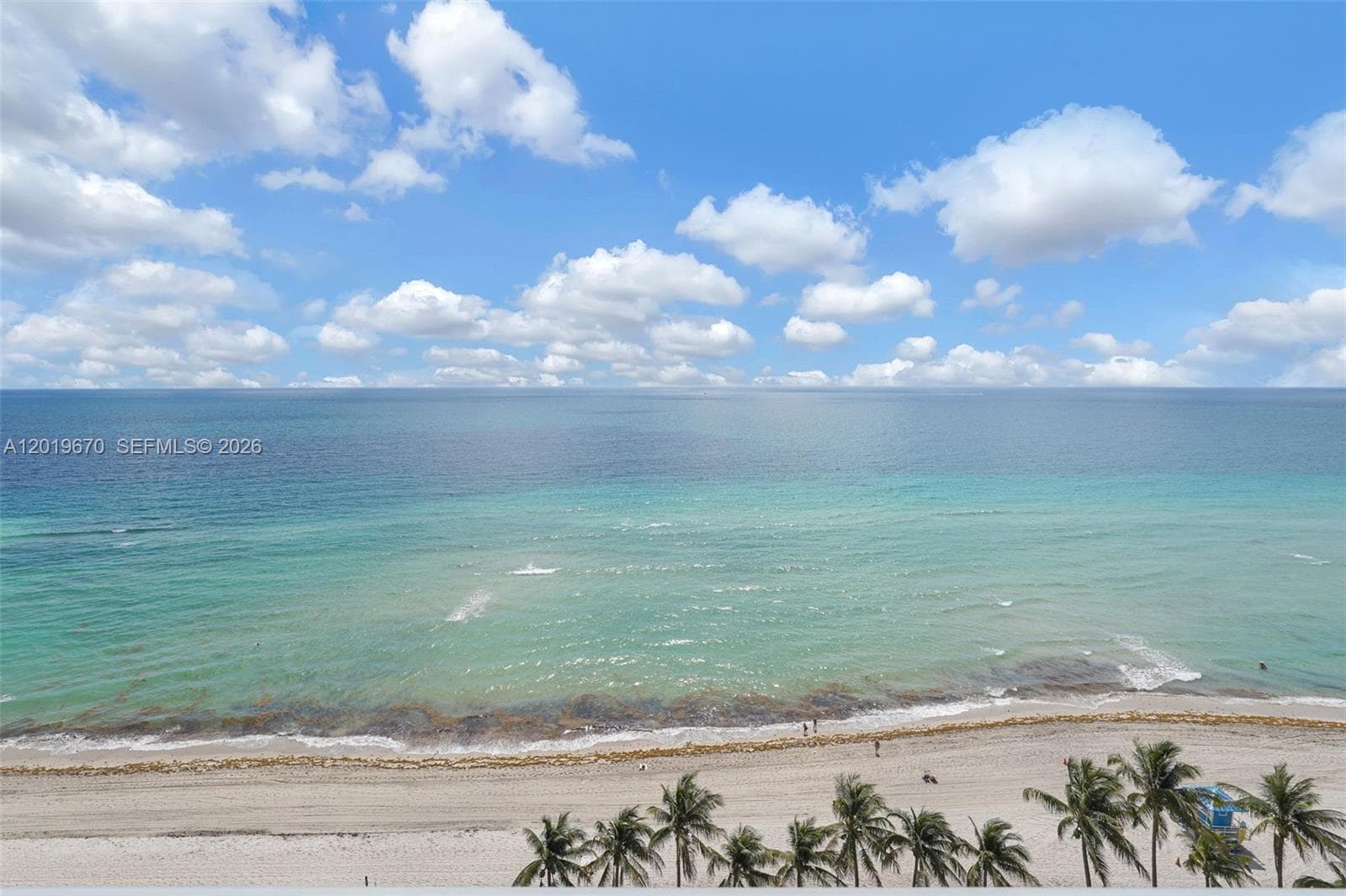 3001 Ocean Dr 1611 photo 11