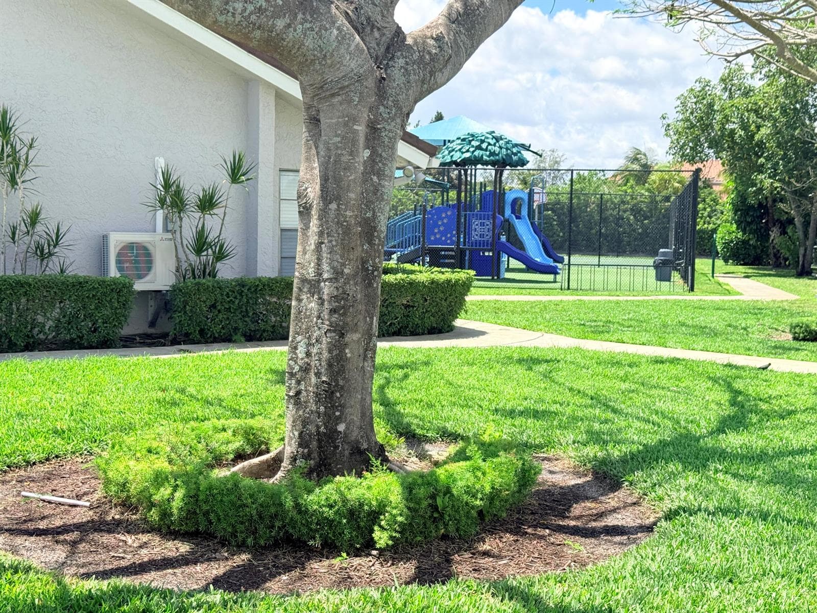 7797 San Marcos Place photo 19