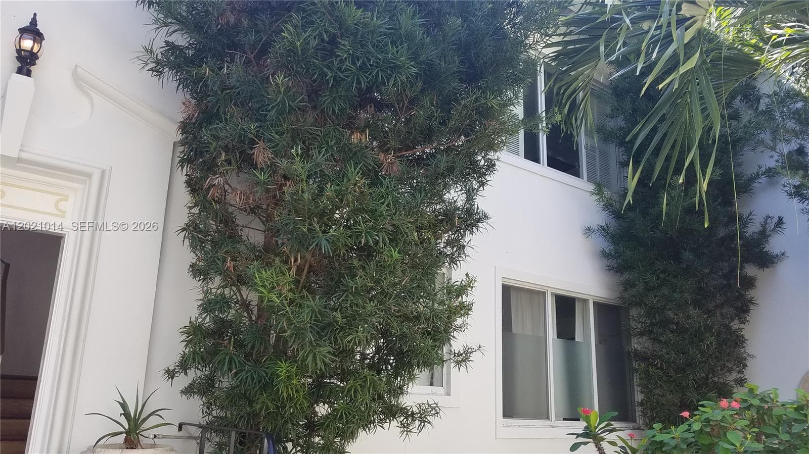 3921 Meridian Ave 4D photo 2