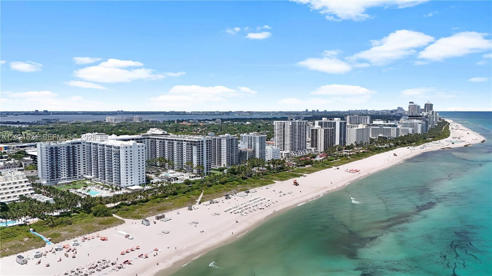 2301 Collins Ave 415 photo 4