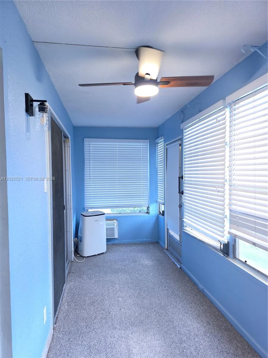 145 Brittany D 145 photo 9