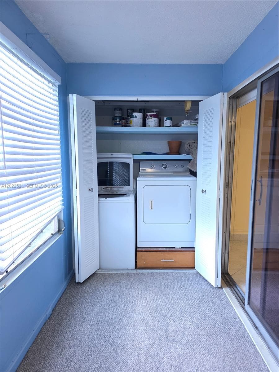145 Brittany D 145 photo 8