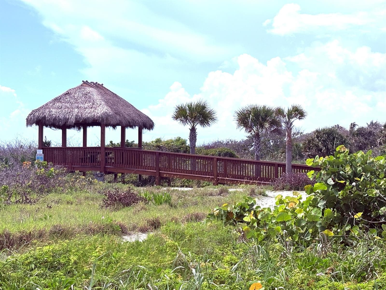 5151 N Highway A1a 513 photo 16