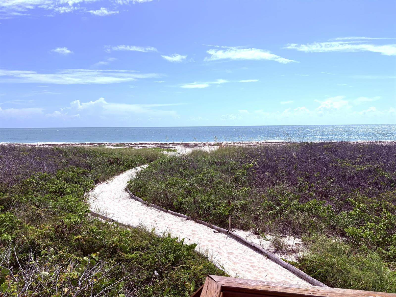 5151 N Highway A1a 513 photo 18