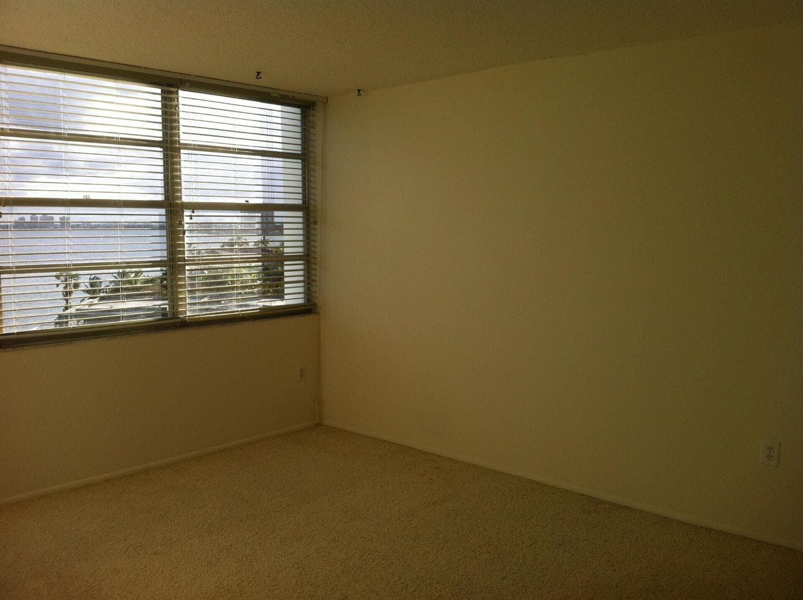 11930 N Bayshore Drive N 706 photo 14