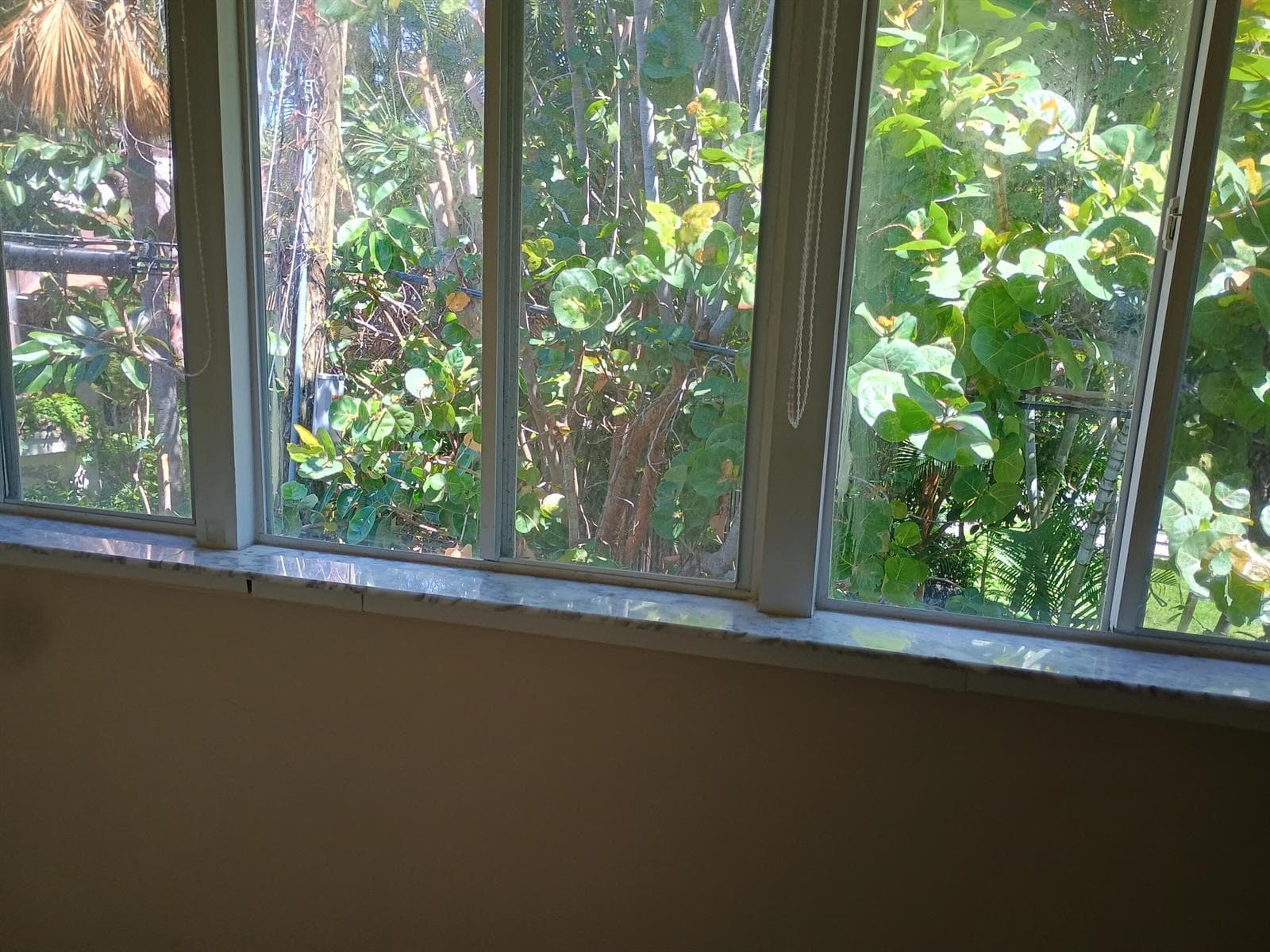 5505 N Ocean Boulevard 3-203 photo 23