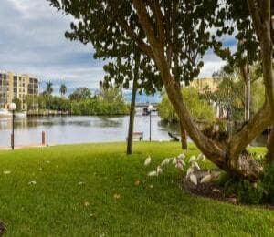 12 Royal Palm Way 6060 photo 24