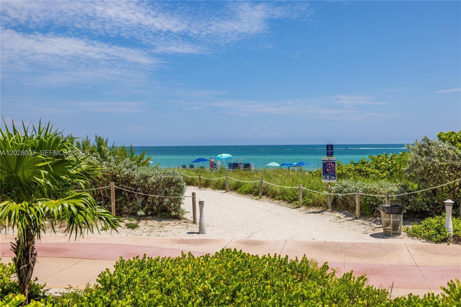 6917 Collins Ave 1404 photo 19