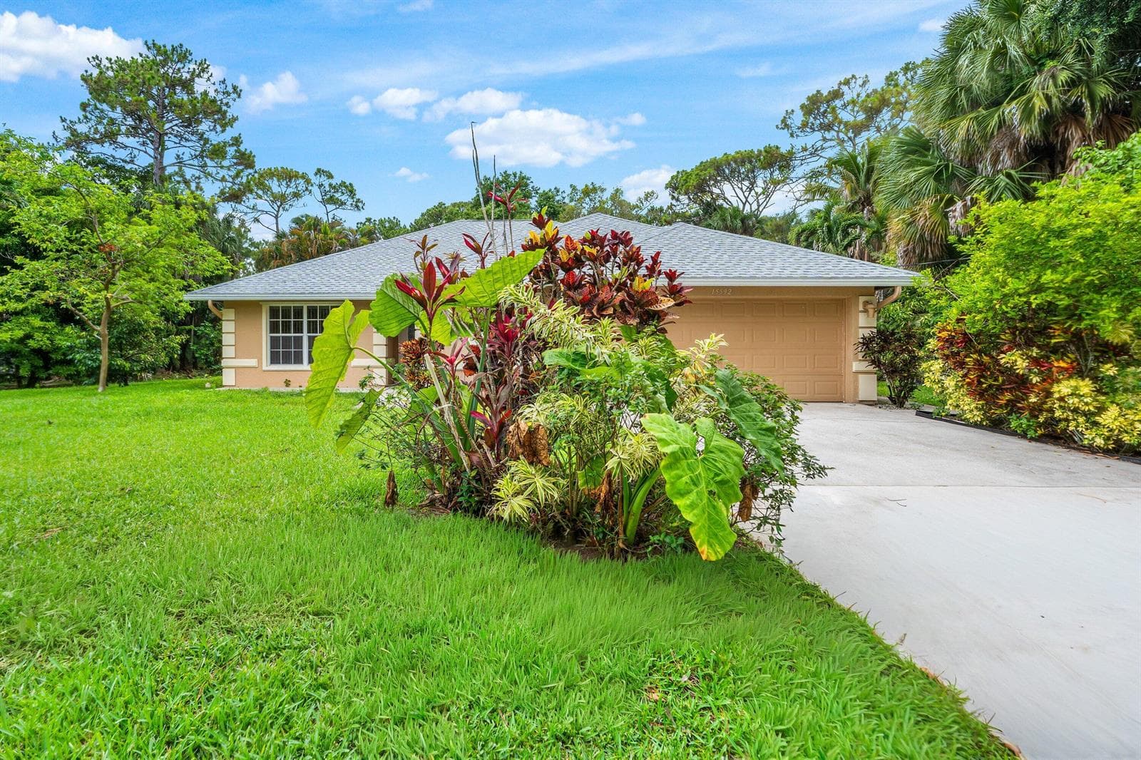 15592 99th Street N photo 3