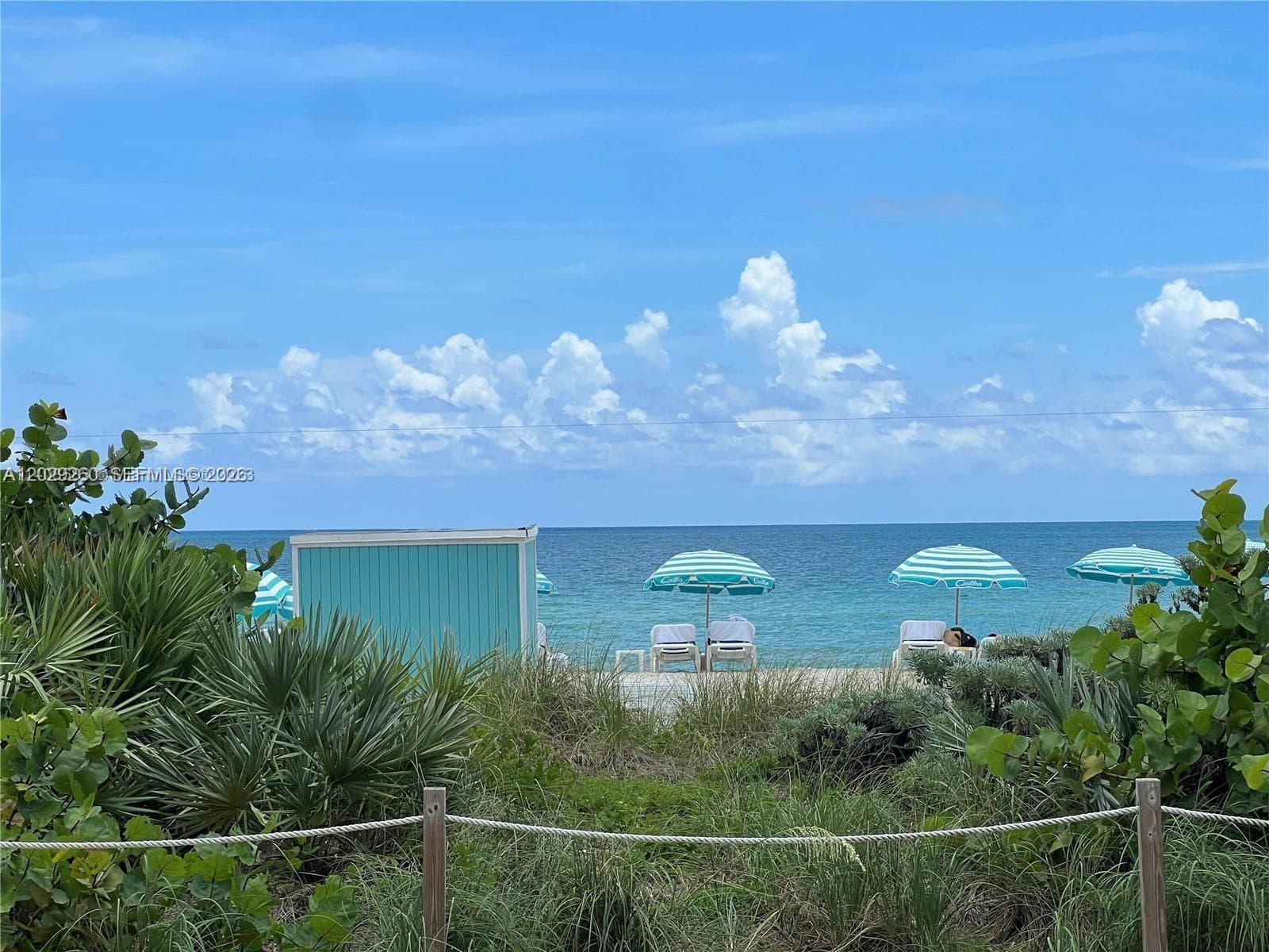 6799 Collins Ave 1501 photo 8